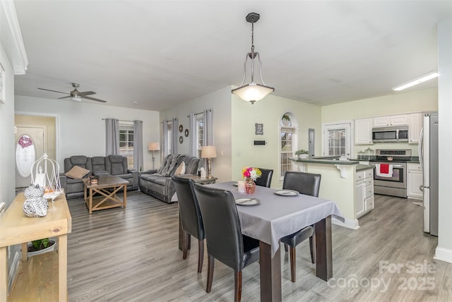 dining space with ceiling fan and light wood-type flooring