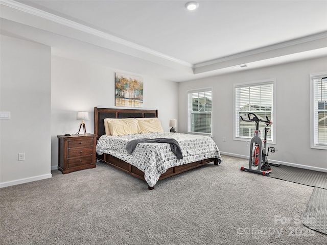 carpeted bedroom featuring baseboards and a tray ceiling