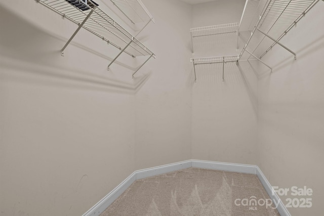 spacious closet with carpet