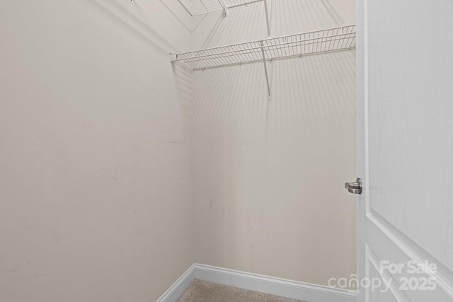 spacious closet with carpet floors