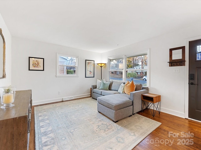 living room with hardwood / wood-style flooring and a wealth of natural light