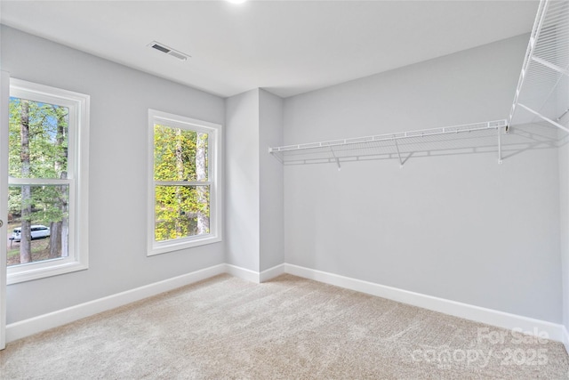 walk in closet featuring carpet