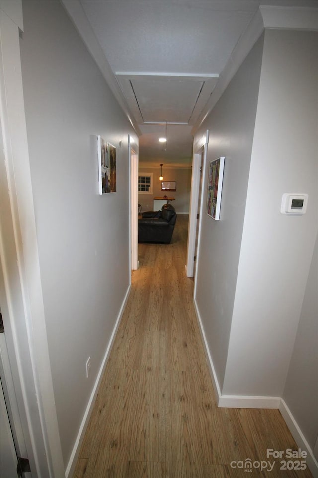 hallway featuring light hardwood / wood-style flooring