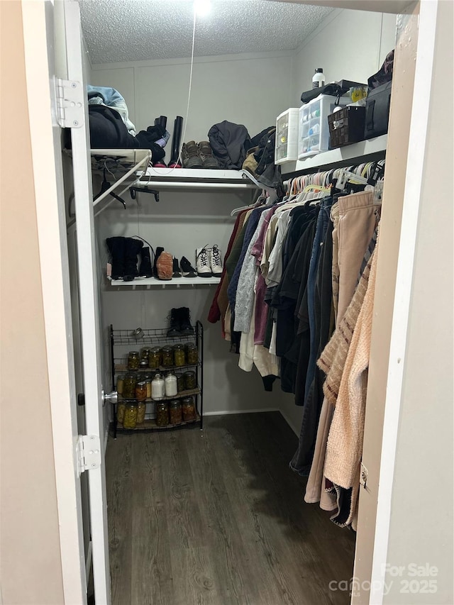 walk in closet featuring hardwood / wood-style floors