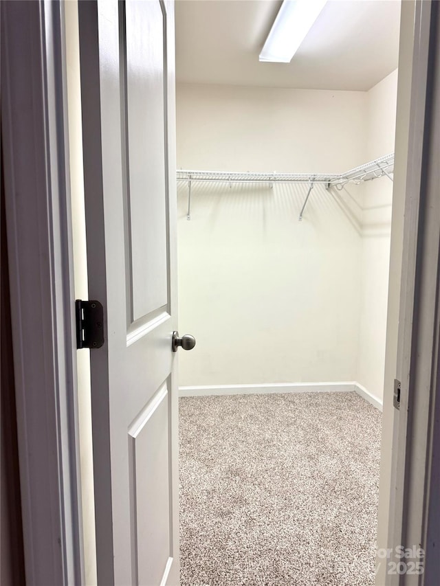 walk in closet with carpet