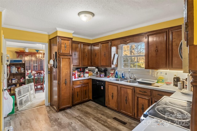 kitchen with hardwood / wood-style floors, sink, black dishwasher, ornamental molding, and a textured ceiling