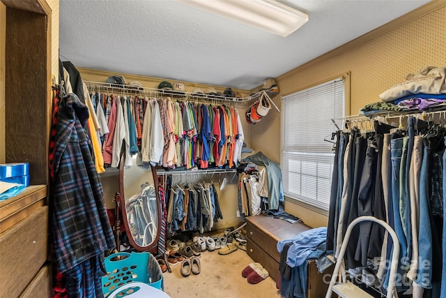 walk in closet with carpet