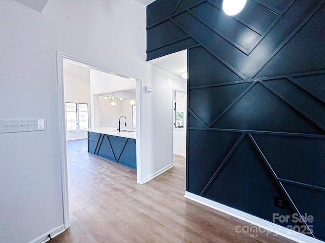 hall featuring wood-type flooring and sink