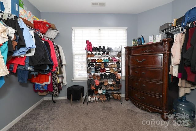 walk in closet featuring carpet floors