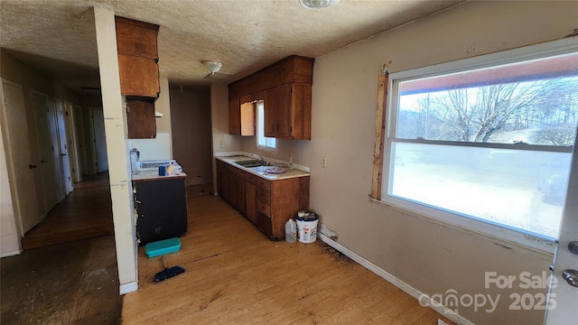 kitchen with a healthy amount of sunlight, light hardwood / wood-style floors, sink, and a textured ceiling