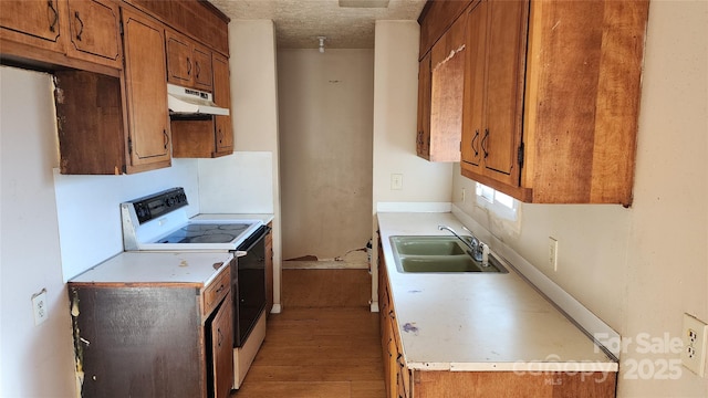 kitchen with sink, light hardwood / wood-style flooring, and white range with electric stovetop