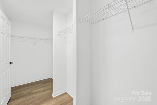 walk in closet with hardwood / wood-style floors