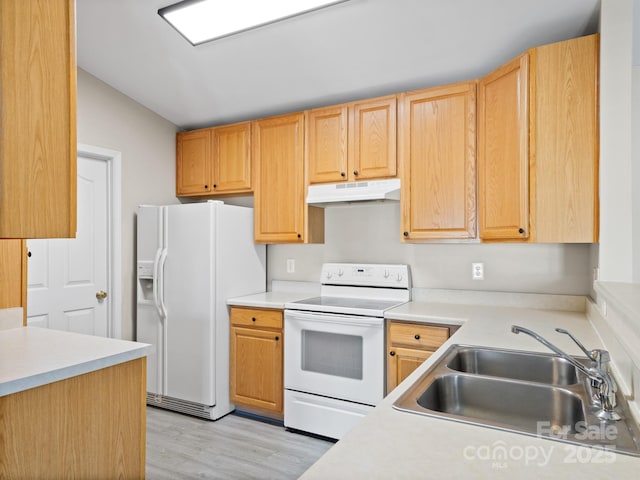 kitchen with white appliances, light hardwood / wood-style floors, sink, and light brown cabinets