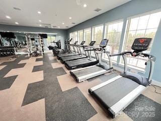 1605 Appledale Ct Unit 116, Fort Mill, SC 29715 - workout area with recessed lighting