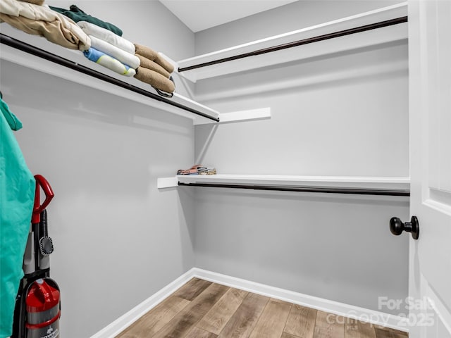 spacious closet featuring wood-type flooring