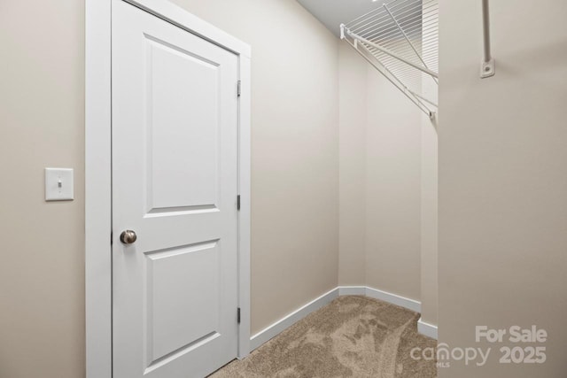 spacious closet featuring light colored carpet