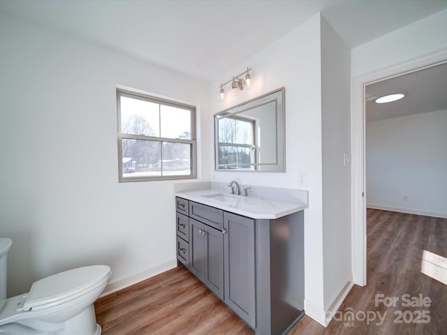 bathroom with vanity, hardwood / wood-style floors, and toilet