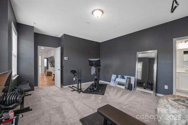 exercise room featuring a wealth of natural light and light colored carpet