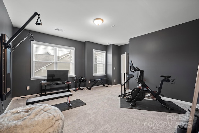 workout room with carpet floors