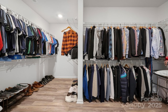 spacious closet with hardwood / wood-style flooring