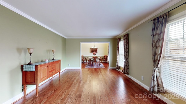 interior space with ornamental molding, plenty of natural light, and hardwood / wood-style floors