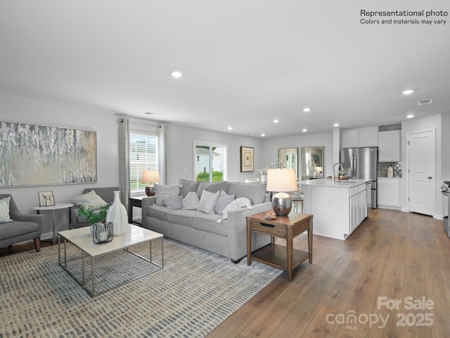 living room featuring sink and hardwood / wood-style floors