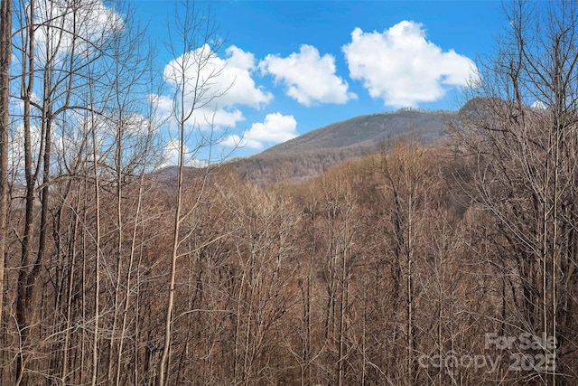 property view of mountains with a wooded view