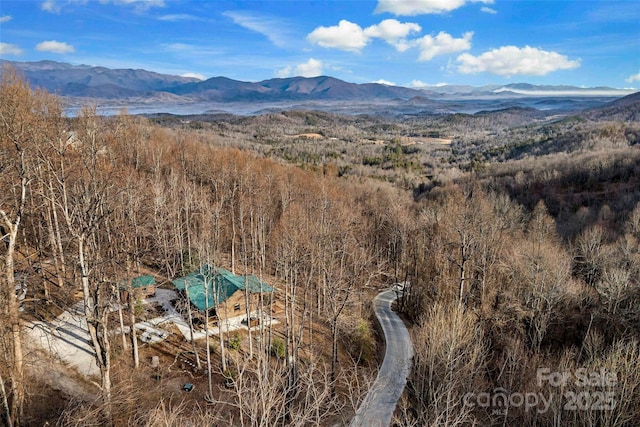 view of mountain feature with a view of trees