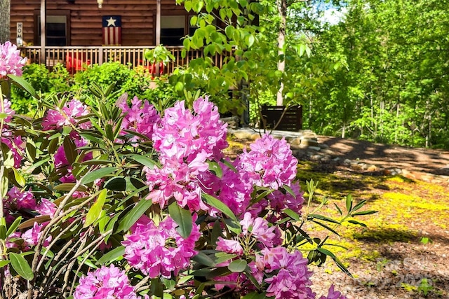 108 Oak Winds Dr Unit 202S, Old Fort, NC 28762 - exterior view