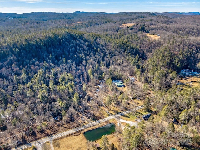 birds eye view of property with a water and mountain view