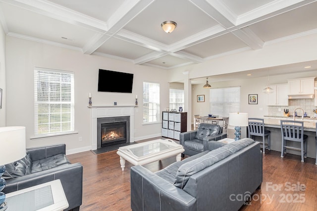 living room with sink, beam ceiling, dark hardwood / wood-style floors, coffered ceiling, and ornamental molding