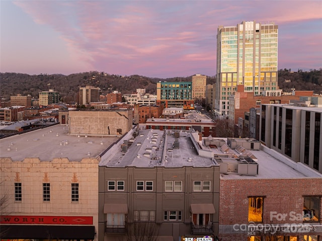 property's view of city