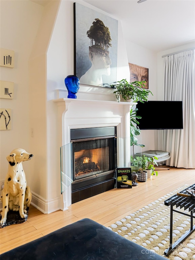 living room featuring hardwood / wood-style floors