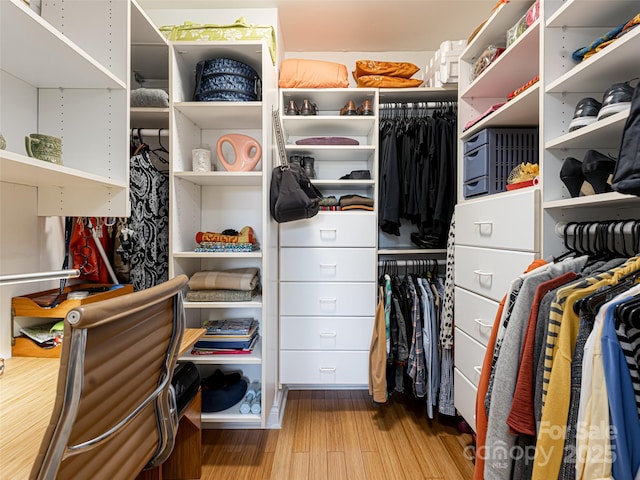 spacious closet with light hardwood / wood-style flooring