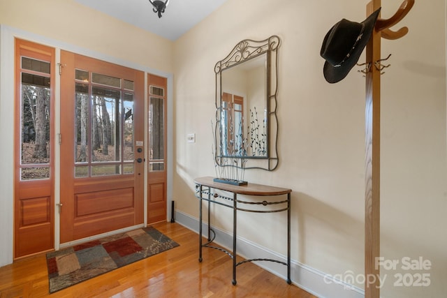 foyer with wood-type flooring