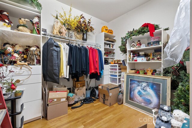 walk in closet with hardwood / wood-style floors