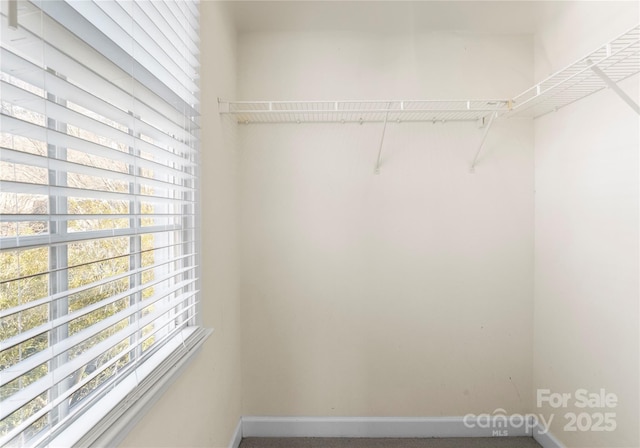 view of spacious closet