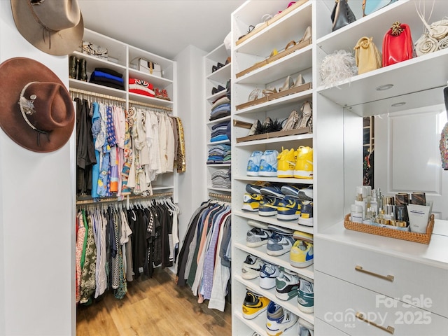 walk in closet with light hardwood / wood-style flooring