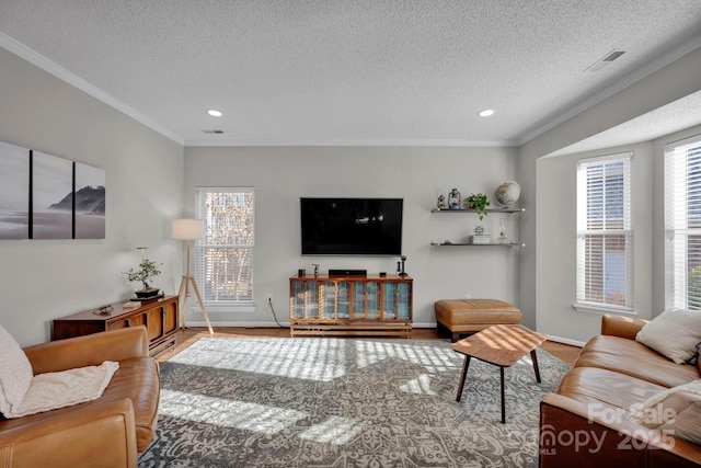 living room featuring crown molding, hardwood / wood-style floors, and a textured ceiling