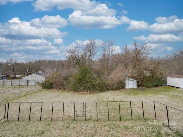 view of yard with a storage unit