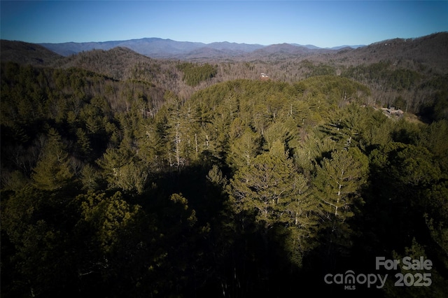 0 Piney Cove Rd, Bryson City NC, 28713 land for sale