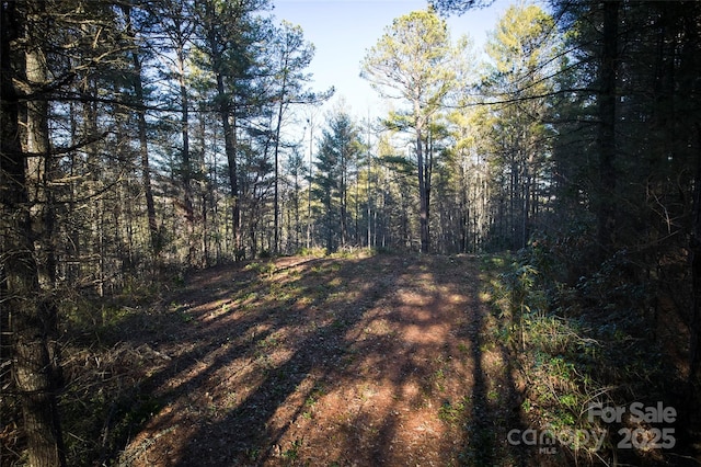 Listing photo 2 for 0 Piney Cove Rd, Bryson City NC 28713