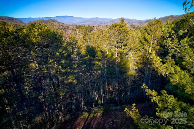 Listing photo 3 for 0 Piney Cove Rd, Bryson City NC 28713