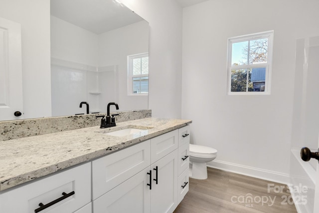 bathroom with vanity, toilet, and hardwood / wood-style floors