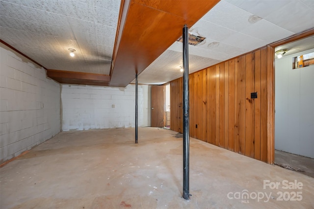 basement featuring wood walls