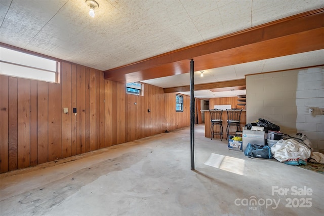 basement featuring wooden walls