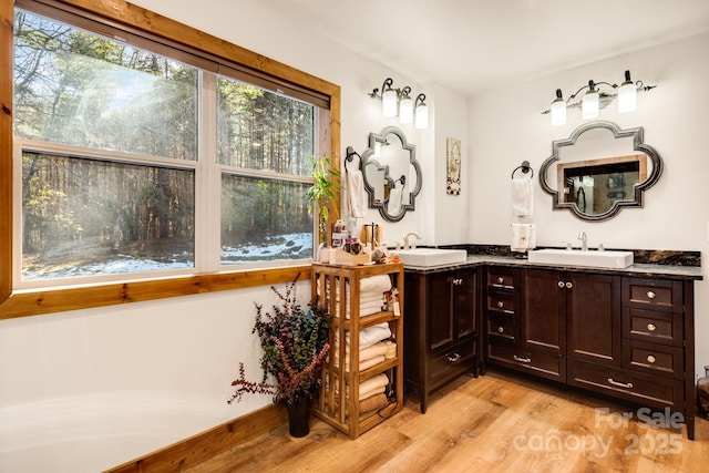 bathroom featuring hardwood / wood-style flooring and vanity