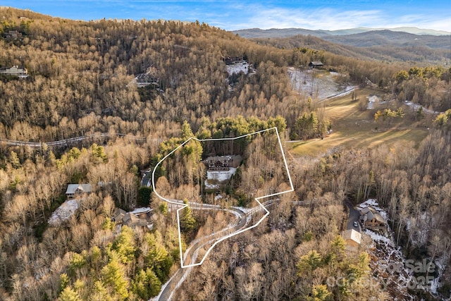 drone / aerial view with a mountain view