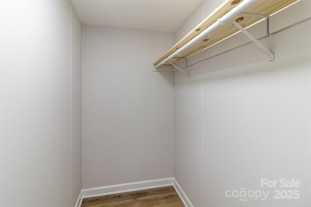 spacious closet featuring hardwood / wood-style flooring