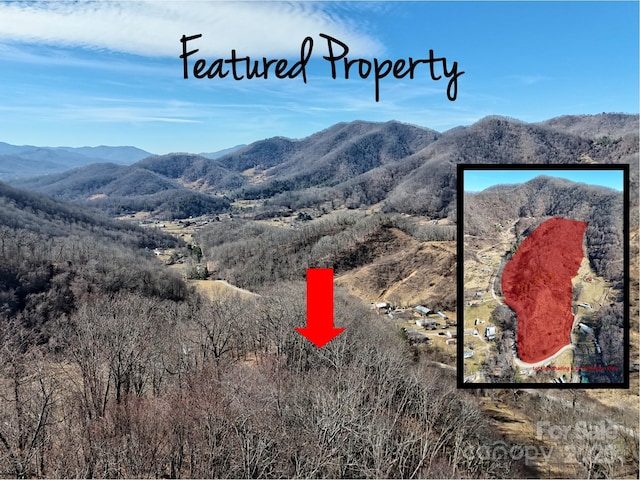 00 Wilson Cove Rd, Canton NC, 28716 land for sale